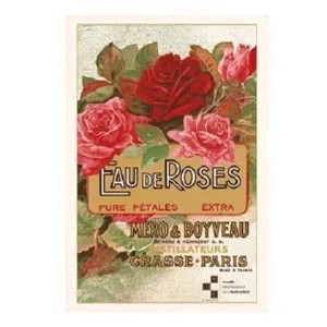 フランス直輸入　ティータオル Torchon Eau De Roses（バラの香り）