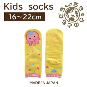 日本製　靴下【1P】キッズソックス【クラゲ】