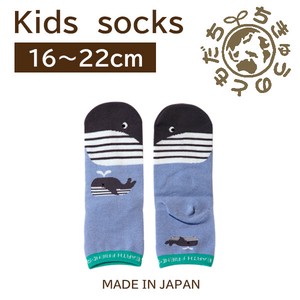 日本製　靴下【1P】キッズソックス【クジラ】