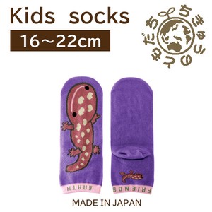 日本製　靴下【1P】キッズソックス【オオサンショウウオ】