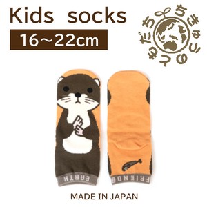 日本製　靴下【1P】キッズソックス【カワウソ】