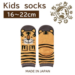 日本製　靴下【1P】キッズソックス【トラ】