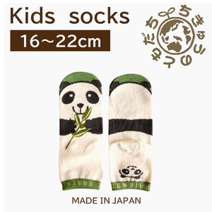 Kids' Socks Socks Kids Panda Made in Japan