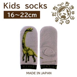 日本製　靴下【1P】キッズソックス【プラキオサウルス】