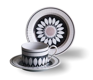 Mino ware Cup & Saucer Set Gift Set Tea Time Pottery Daisy Made in Japan