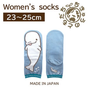 日本製　靴下【1P】レディースソックス【シロイルカ】