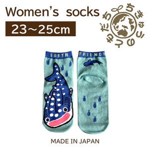 日本製　靴下【1P】レディースソックス【ジンベエザメ】