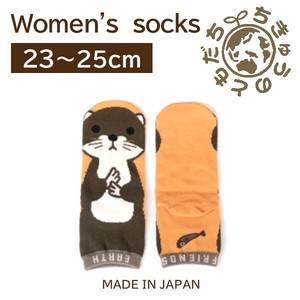 日本製　靴下【1P】レディースソックス【カワウソ】