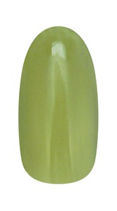 ネイルパフェ　クリアカラージェル　C13クリアグリーンティー　2g　日本製　国産