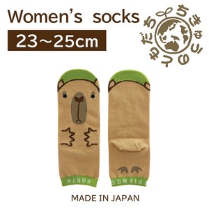 日本製　靴下【1P】レディースソックス【カピバラ】