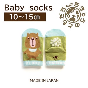 Kids' Socks Socks Made in Japan