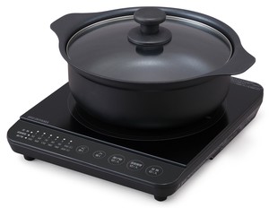 Stove/Induction Cooktop