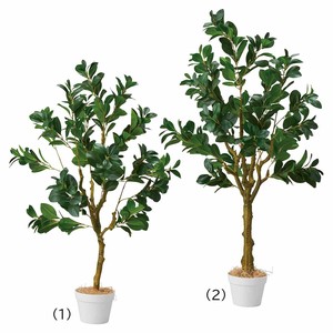 ペペロミア 人工樹木 フェイクグリーン 人工観葉植物