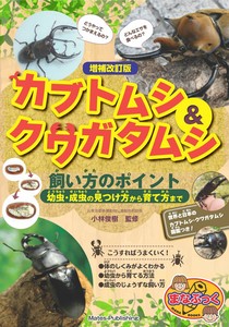 Practical Book Beetle