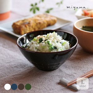 Mino ware Rice Bowl L M Miyama Made in Japan