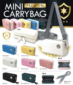 Bag Carry Bag