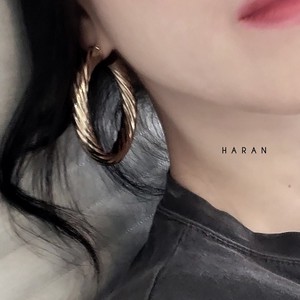 Pierced Earrings Titanium Post M