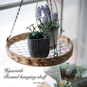 Garden Accessories Series Hyacinth