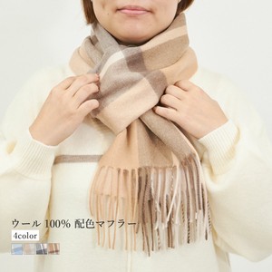 Thick Scarf Color Palette Scarf