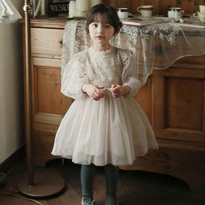 Kids' Casual Dress Tulle Pudding Kids Autumn/Winter