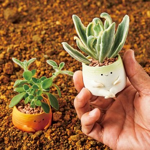 Pot/Planter Series Resin Pot