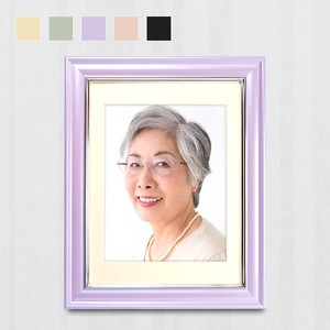 【全5色】無反射 V380 カラー肖像額 八〇判/四切判 樹脂製 壁掛用
