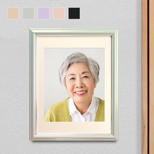 【全5色】無反射 Vカラー肖像額 八〇判/四切判 樹脂製 壁掛用