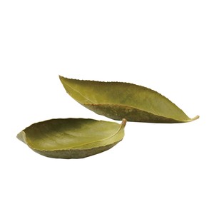 国産・乾燥 椿の葉舟（10枚入）＜日本製＞