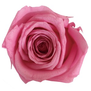 ステムローズブーケ スウィートピンク プリザーブドフラワー アレンジメント バラ ギフト 母の日