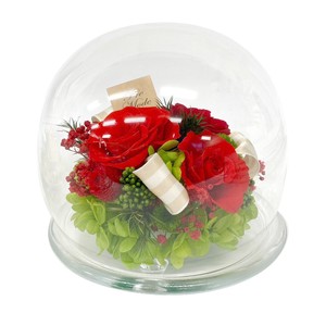 プラネット ローズブロッサム レッド ドーム型 仏花 お供え バラ 薔薇 ギフト プレゼント 母の日