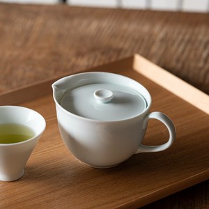 Mino ware Japanese Teapot Made in Japan
