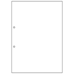 ヒサゴ FSC(R)認証【マルチプリンタ帳票】複写タイプ A4 ノーカーボン 白紙 2穴