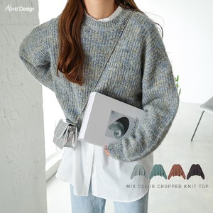 Sweater/Knitwear Knitted Mix Color Long Sleeves Cropped Tops