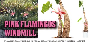 ガーデンオブジェ「PINK FLAMINGOS WINDMILL」ピンクフラミンゴ/ 2体セット