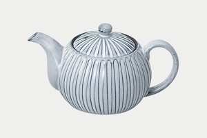 Hasami ware Teapot Pottery Made in Japan