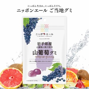 ご当地グミ ニッポンエール 岩手県産 山葡萄グミ 果実グミ 全国農協食品