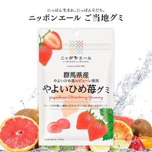 ご当地グミ ニッポンエール 群馬県産 やよいひめ苺グミ 果実グミ 全国農協食品