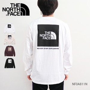 ノースフェイス【THE NORTH FACE】Men’s Long-Sleeve Box NSE Tee ロンT ロゴ メンズ アウトドア US規格