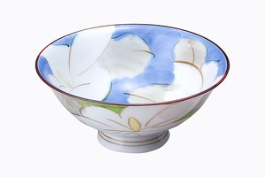 Hasami ware Rice Bowl Porcelain L size Made in Japan