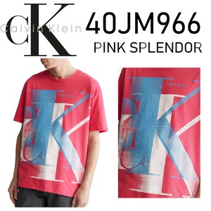 CALVIN KLEIN(カルバンクライン) Tシャツ 40JM966