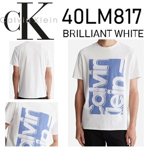 CALVIN KLEIN(カルバンクライン) Tシャツ 40LM817