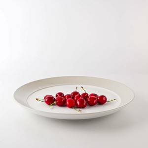 Mino ware Main Plate Rustic White M Western Tableware Made in Japan