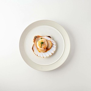 クラフトカーム ラスティックホワイト 21.5cmプレート[日本製/美濃焼/洋食器]