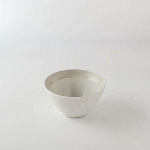 Mino ware Donburi Bowl Rustic White M Western Tableware Made in Japan