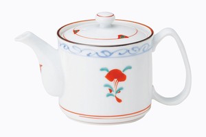 Hasami ware Teapot Porcelain L size Made in Japan