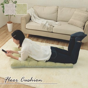 Cushion