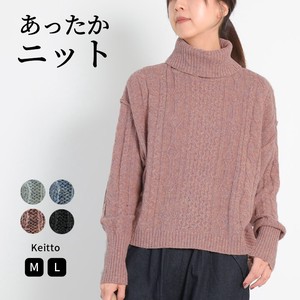 Sweater/Knitwear Pullover Knitted Long Sleeves Turtle Neck Ladies'