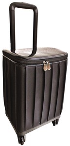 Suitcase Pintucked