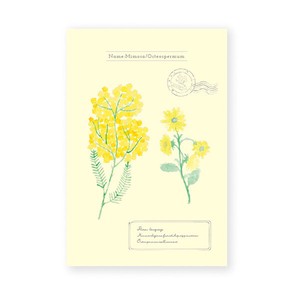 日本製　バラエティーポストカード：イエロー植物