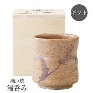 Seto ware Japanese Teacup Gift Made in Japan